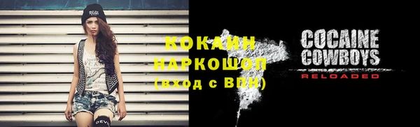 спайс Гусь-Хрустальный