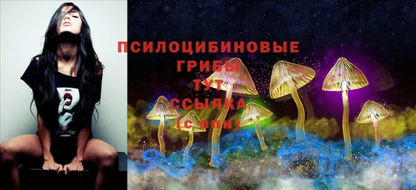 таблы Гусиноозёрск