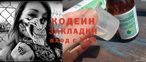 спайс Гусь-Хрустальный