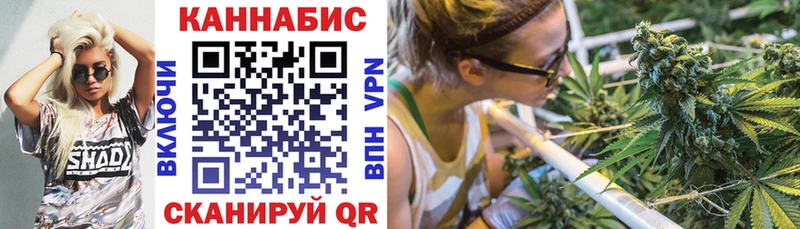 Купить  Курчатов  Каннабис OG Kush 